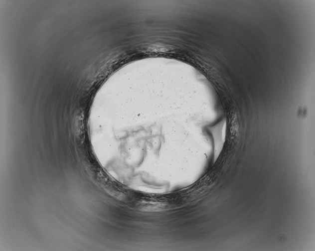 X0000113990559200910231732