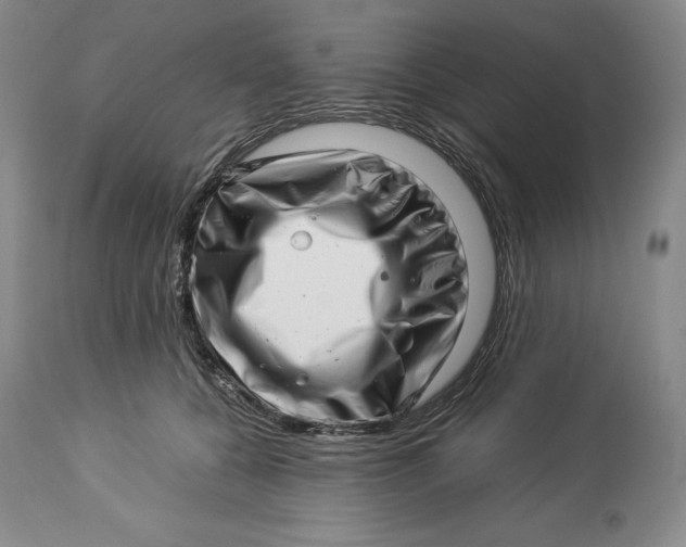 X0000113990560200910231732