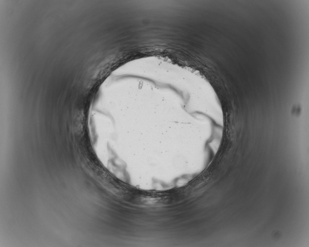 X0000113990563200910231732