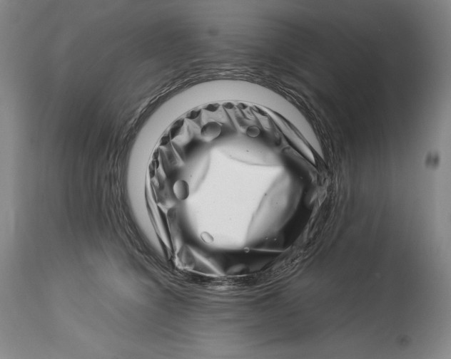 X0000113990564200910231732