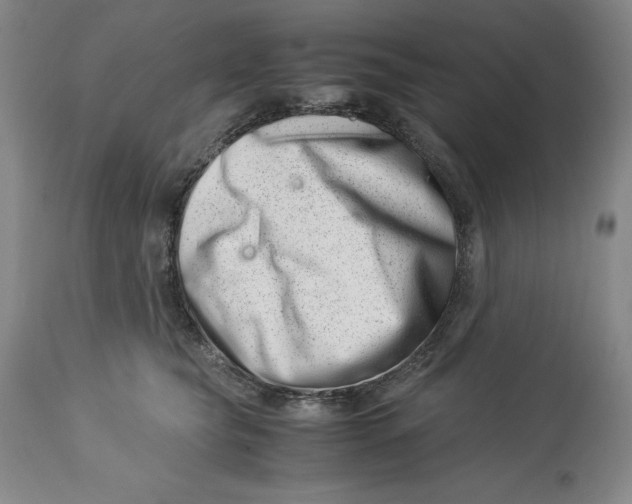 X0000113990565200910231732