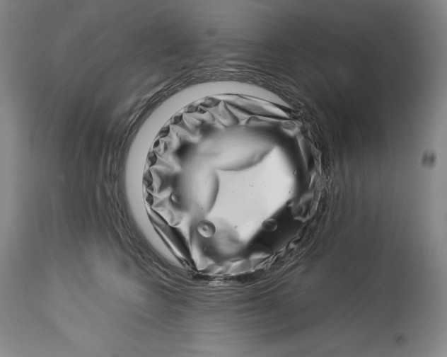 X0000113990566200910231732