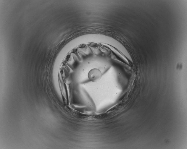 X0000113990568200910231732