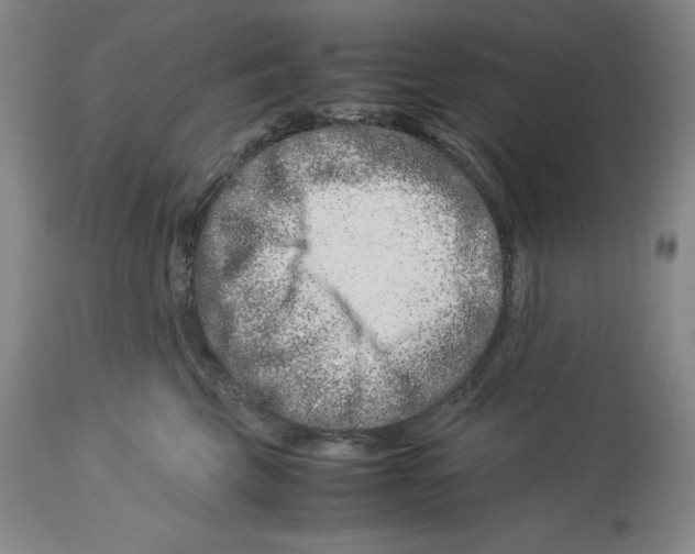 X0000113990569200910231732