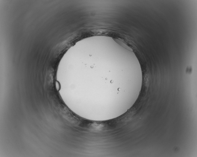 X0000113990570200910231732