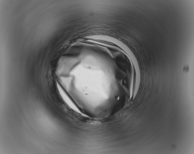 X0000113990572200910231732