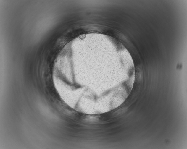 X0000113990573200910231732