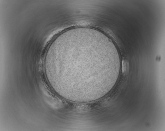 X0000113990579200910231731