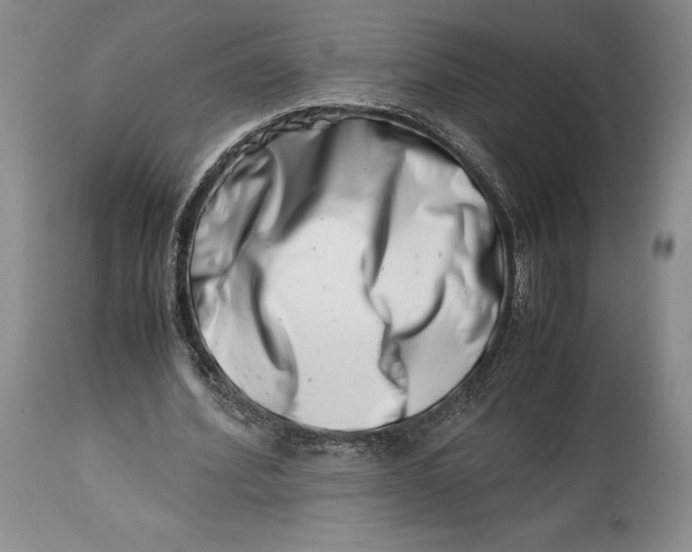 X0000113990580200910231731