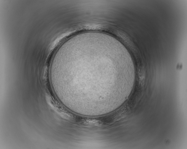 X0000113990583200910231731