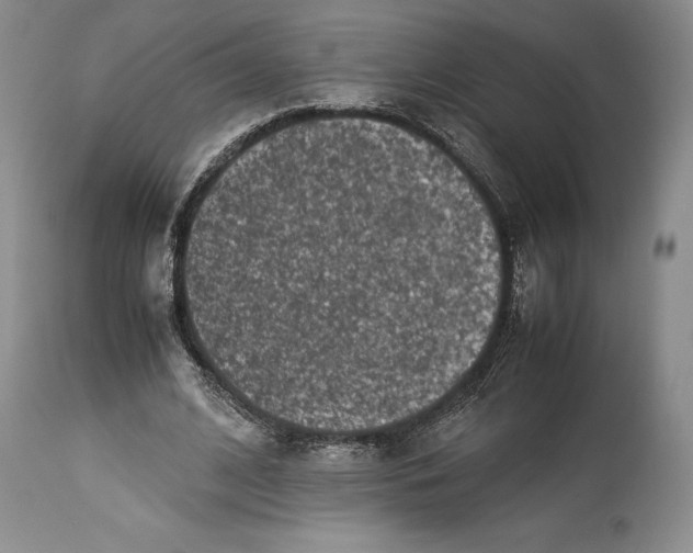 X0000113990584200910231731