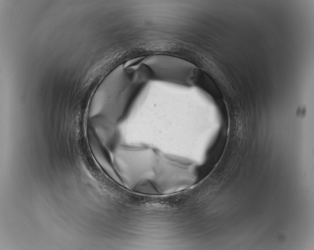 X0000113990586200910231731