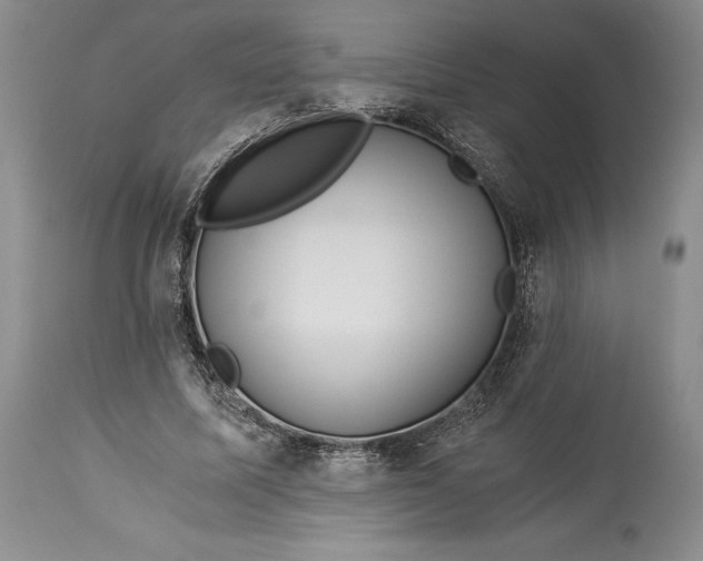 X0000113990587200910231731