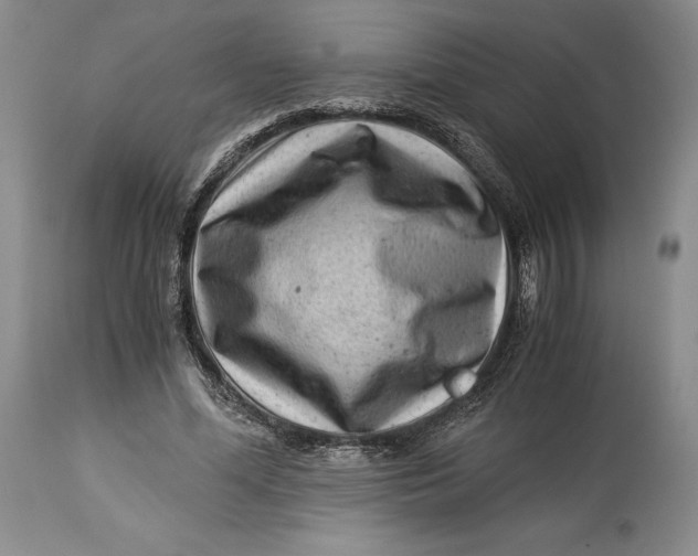 X0000113990588200910231731