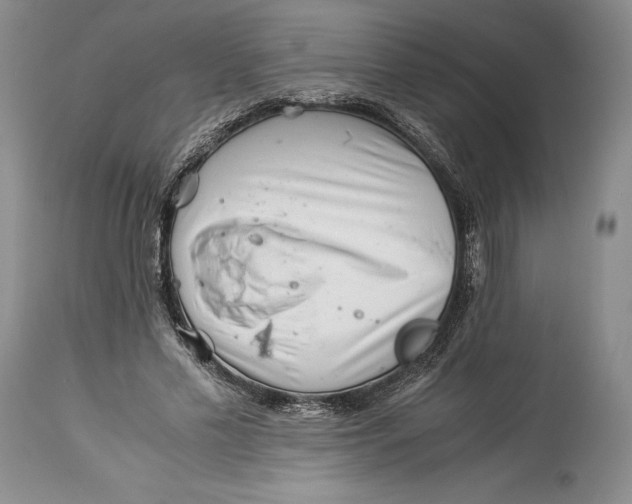 X0000113990589200910231731