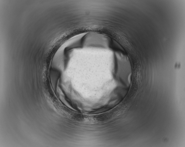 X0000113990591200910231731