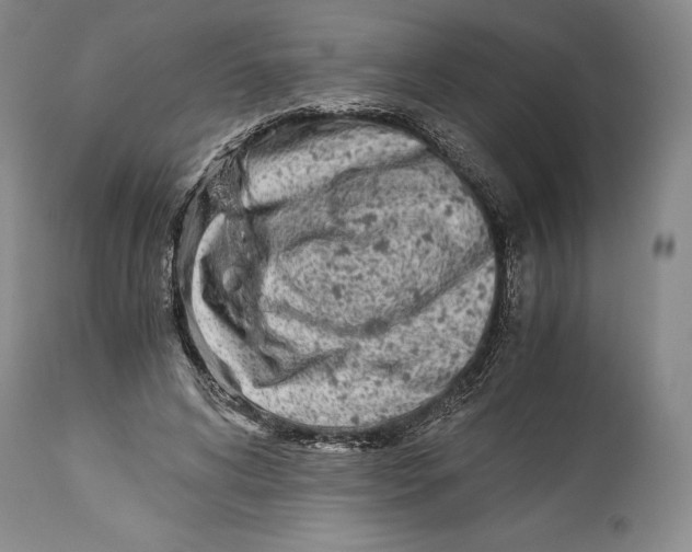 X0000113990592200910231731