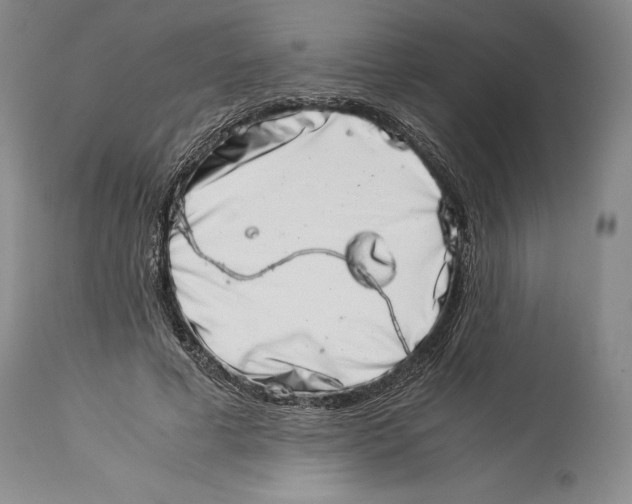 X0000113990593200910231731