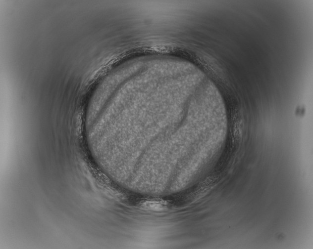 X0000113990595200910231731