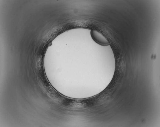 X0000113990597200910231731