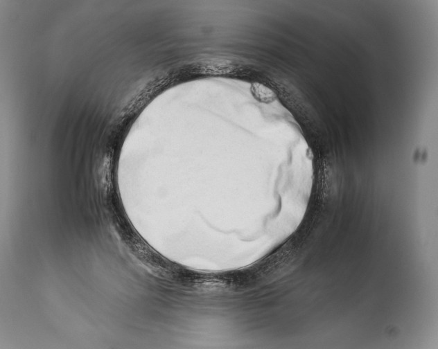 X0000113990598200910231731