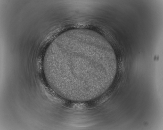 X0000113990599200910231731