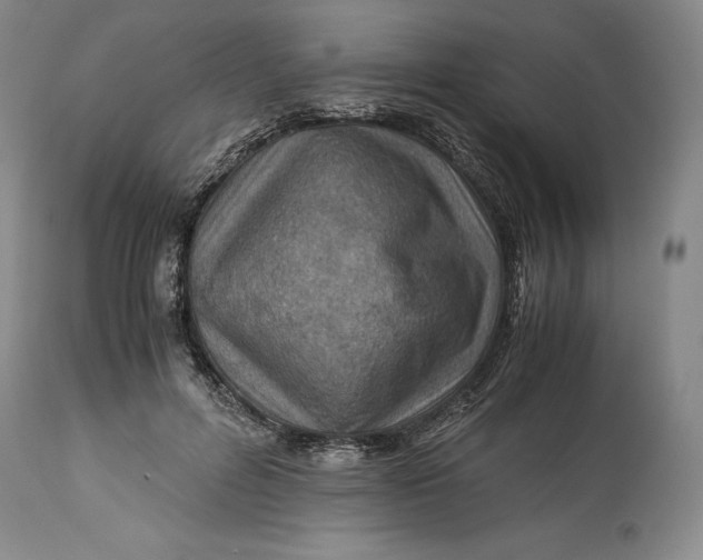 X0000113990600200910231731