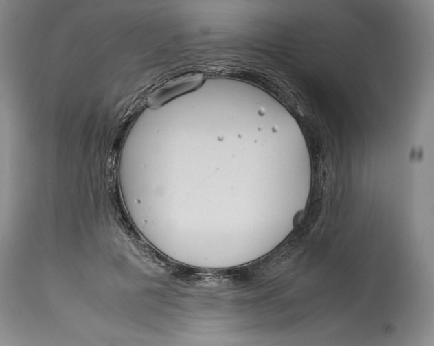 X0000113990601200910231731