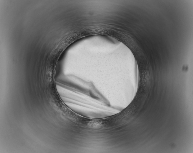 X0000113990602200910231731