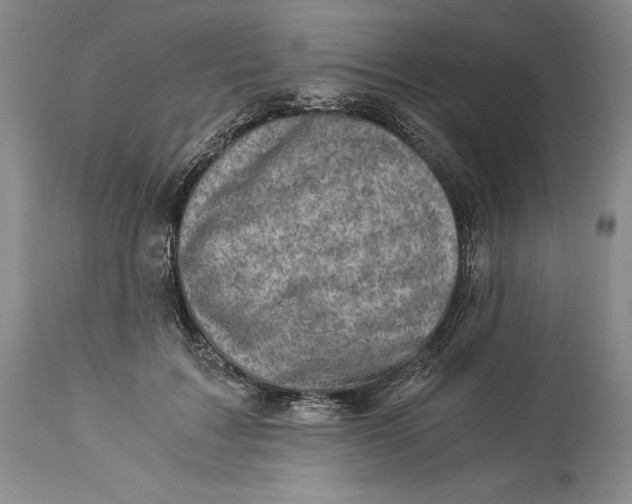 X0000113990603200910231731