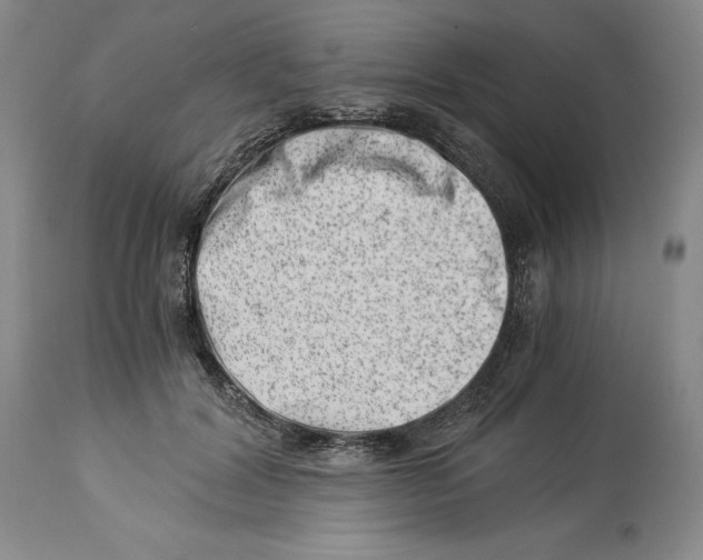 X0000113990604200910231731