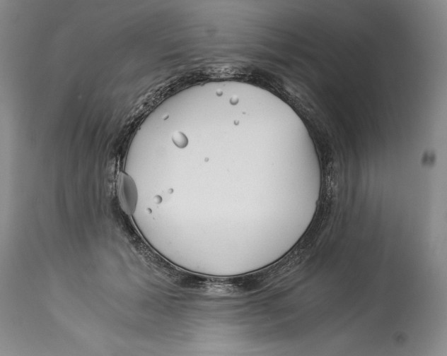 X0000113990605200910231731