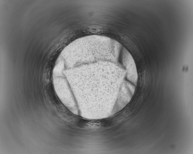 X0000113990606200910231731