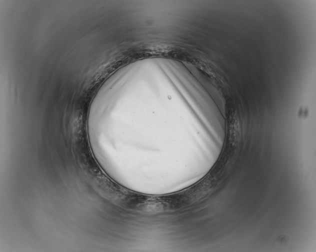 X0000113990608200910231731