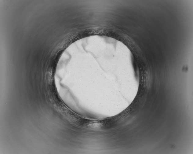 X0000113990610200910231731