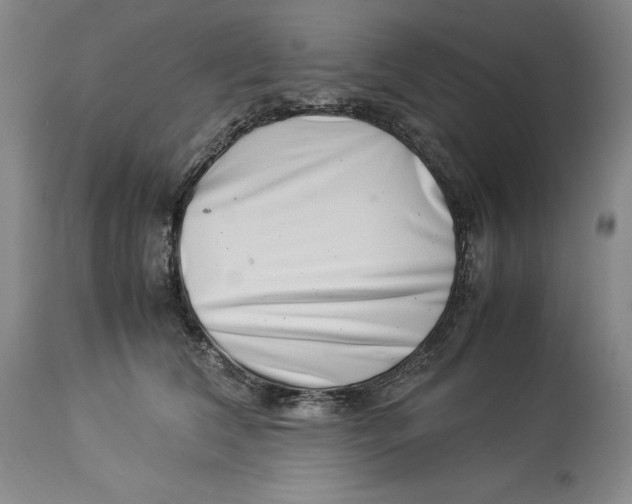 X0000113990612200910231731