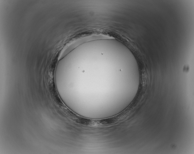 X0000113990613200910231731