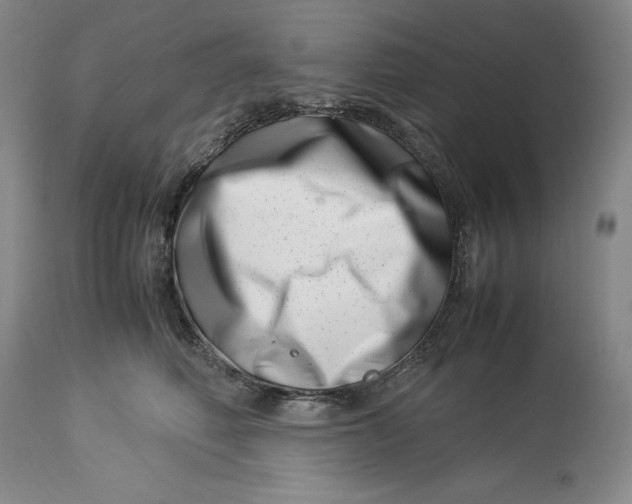 X0000113990614200910231731