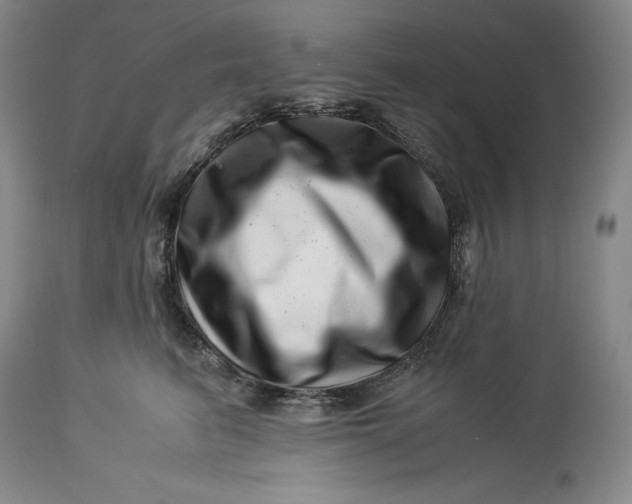 X0000113990615200910231731