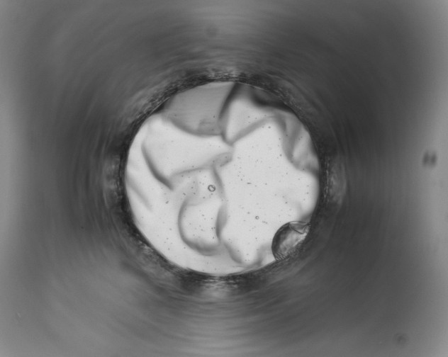 X0000113990616200910231731