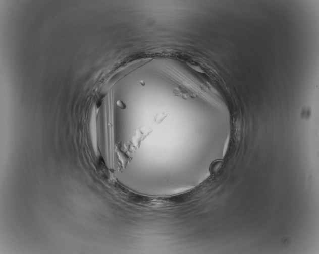 X0000113990617200910231731