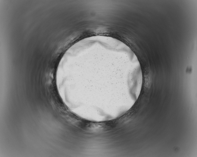 X0000113990618200910231731