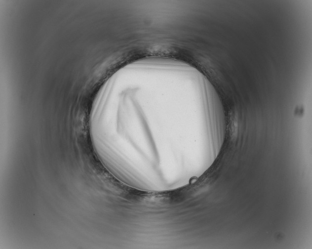 X0000113990619200910231731