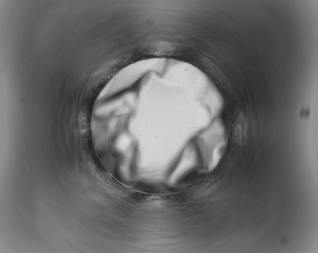 X0000113990620200910231731