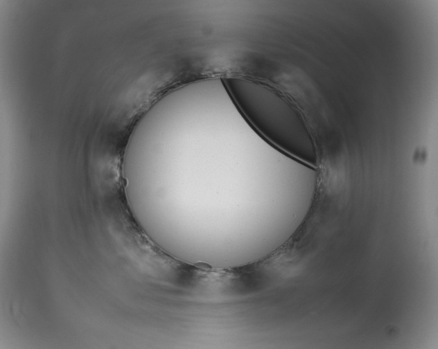 X0000113990621200910231731