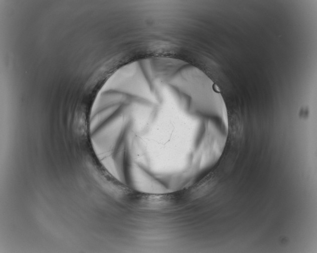 X0000113990622200910231731