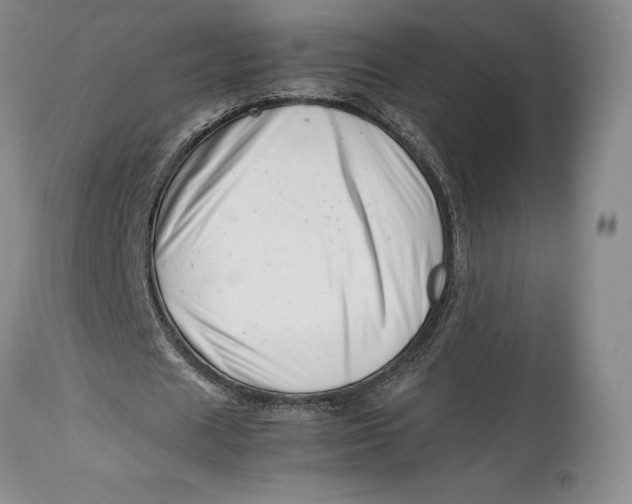 X0000113990625200910231730