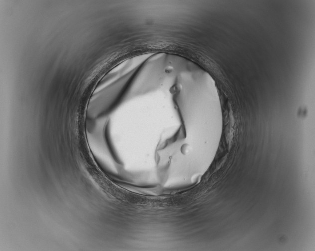 X0000113990626200910231730