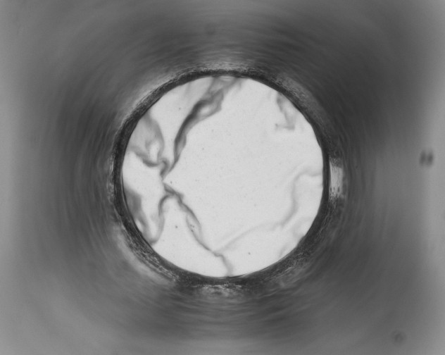 X0000113990627200910231730