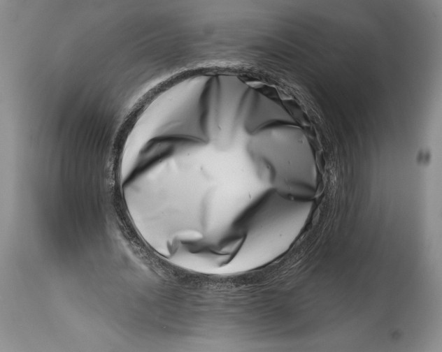 X0000113990628200910231730